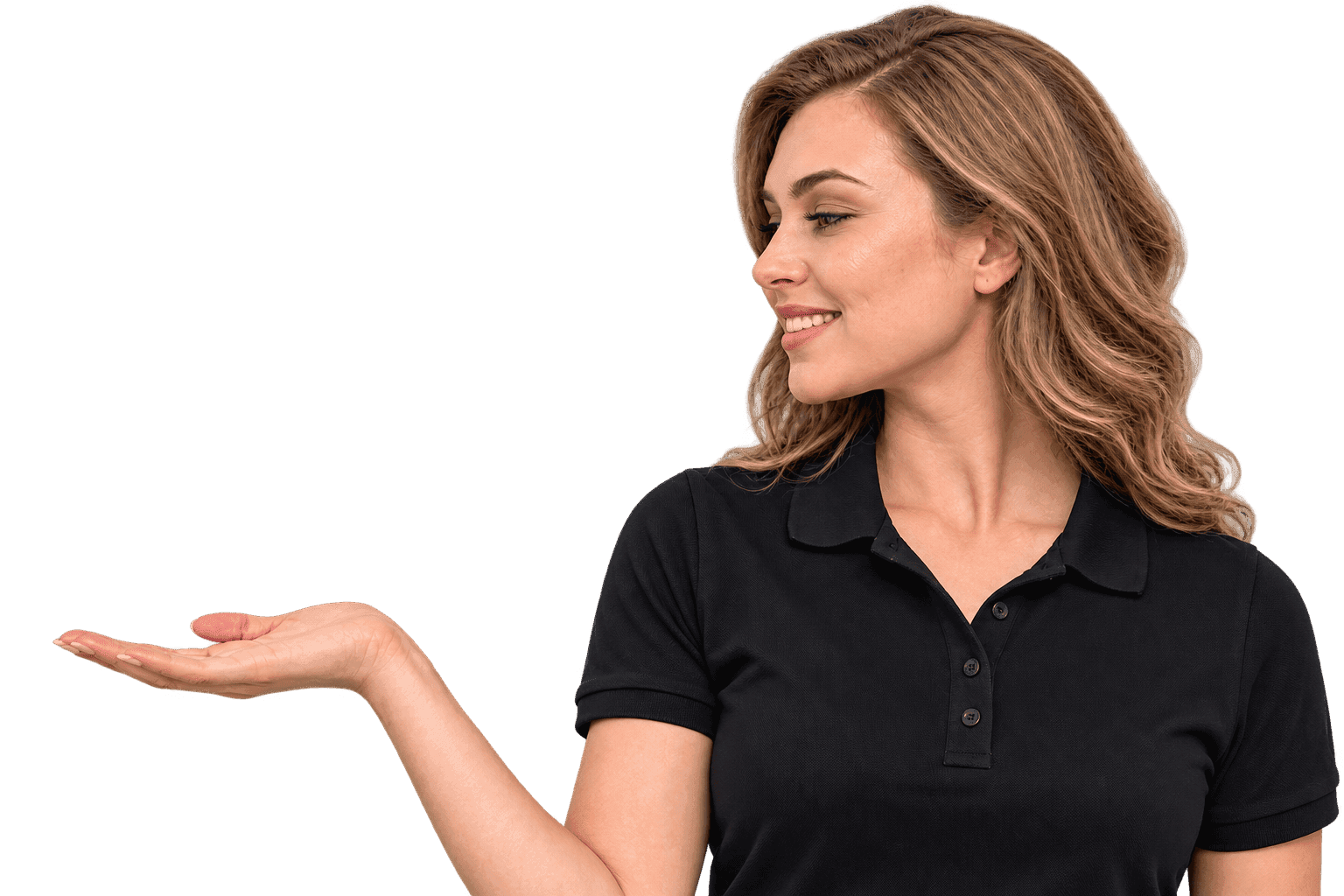 BridgingLine broker presenting the enquiry options